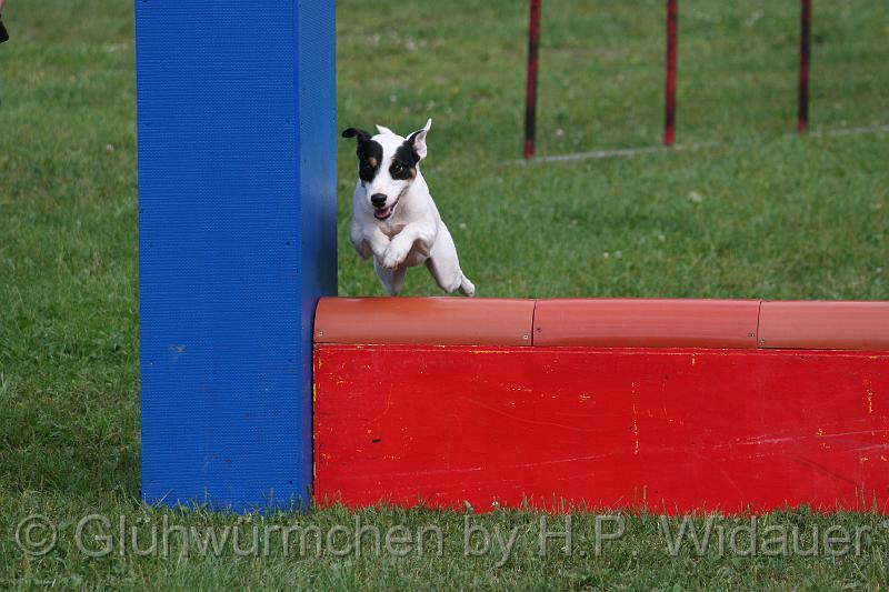 gluehwuermchen08 094 (74).jpg